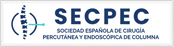 Spanish Endoscopic and Percutaneous Spine Surgery Society (SECPEC)